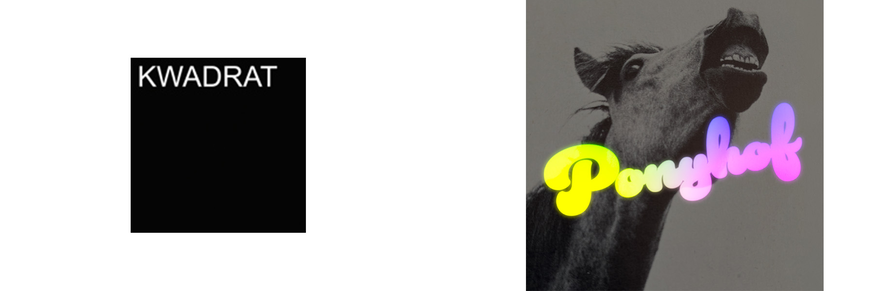 Ponyhof